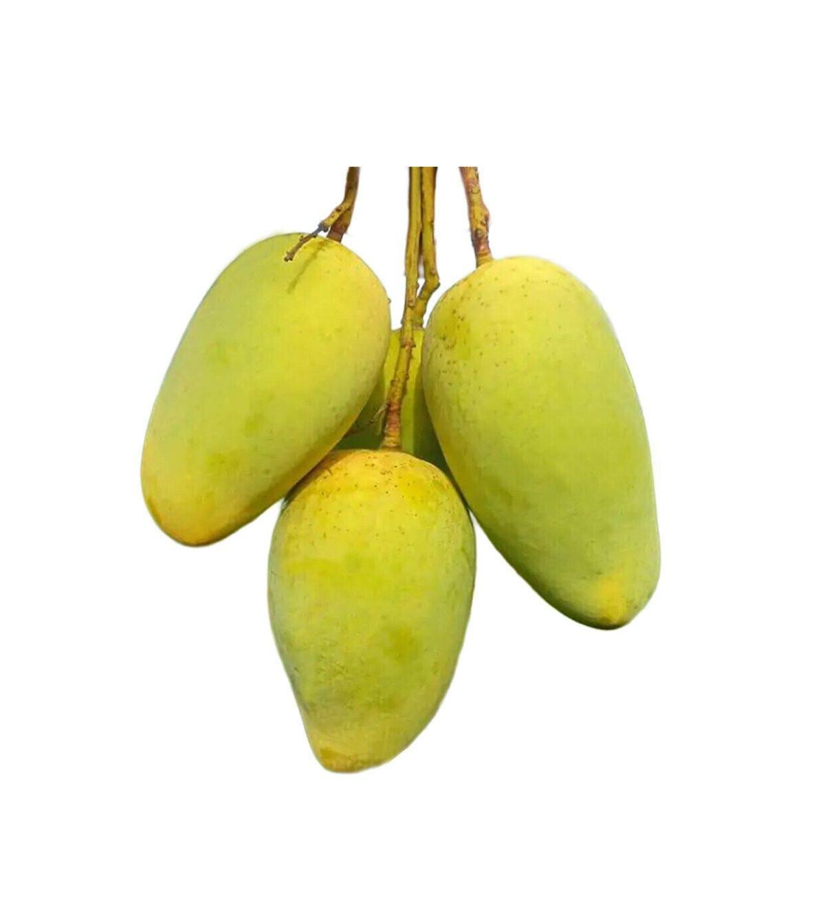 সুইট কাটিমন আম
